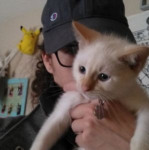 Meet your Posher, Thomas